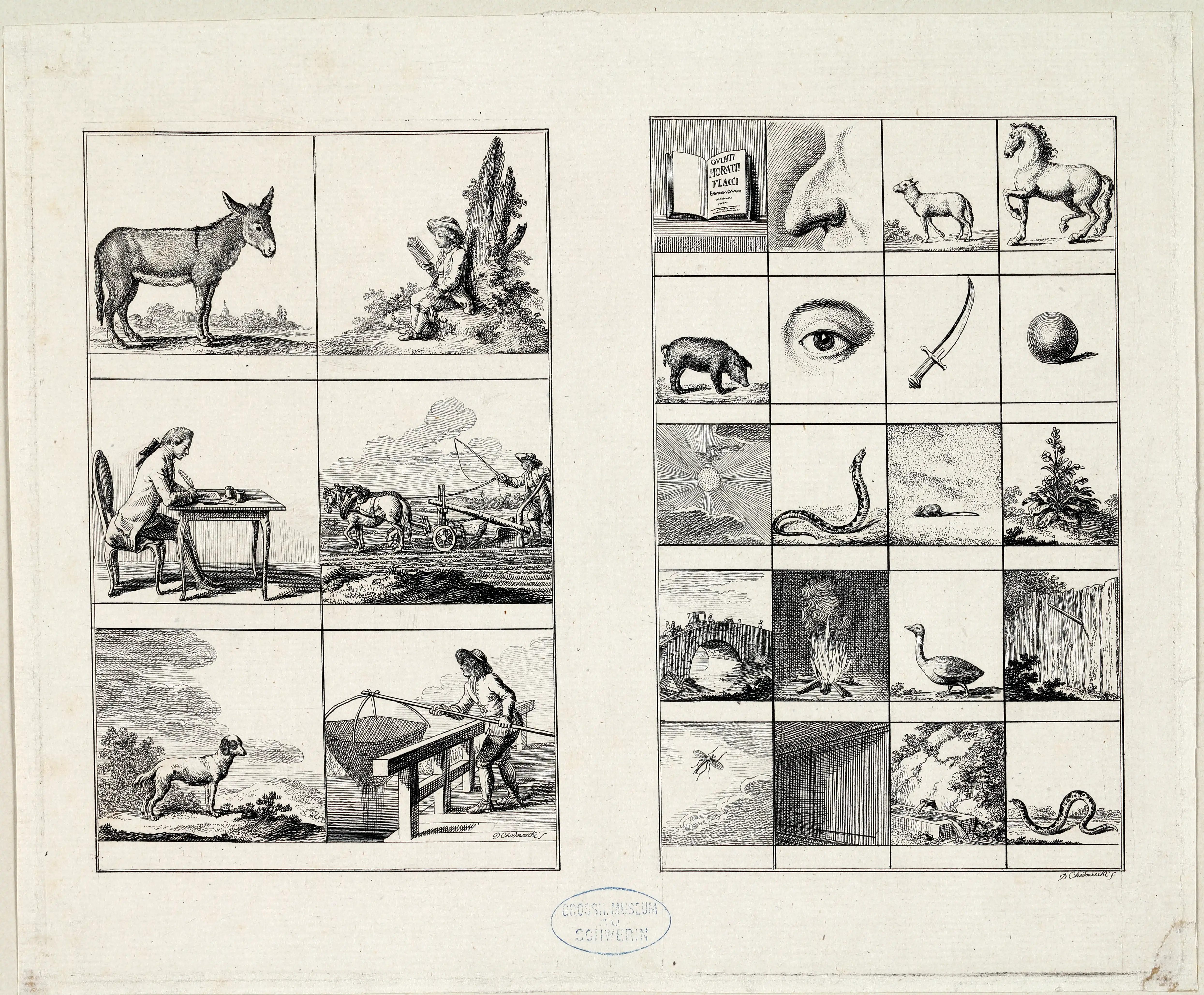 Daniel Chodowiecki, Tafel 3 von Schulzes »Elementarbuch der lateinischen Sprache«, Maskulina der verschiedenen Deklinationen, 1779